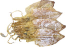 Dried Squid (Medium) - 鱿鱼干（中）