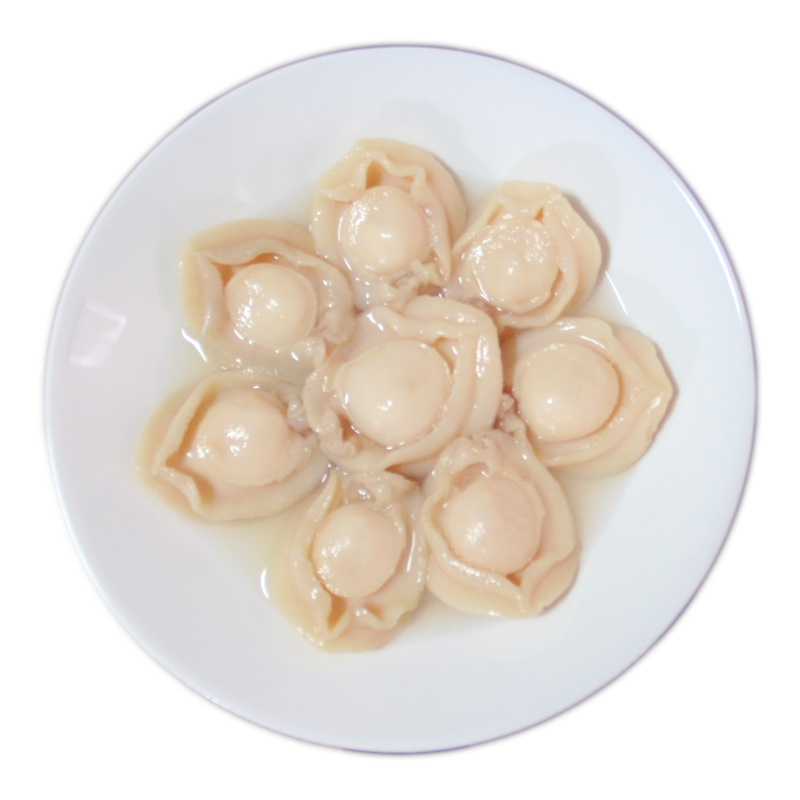 [Special Offer!] Dragon Horse Australia Abalone in Brine - [特价!] 龙马澳洲清汤鲍鱼
