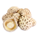 4~5 White Flower Mushroom - 4~5 白花菇