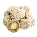 5~6 White Flower Mushroom - 5~6 白花菇