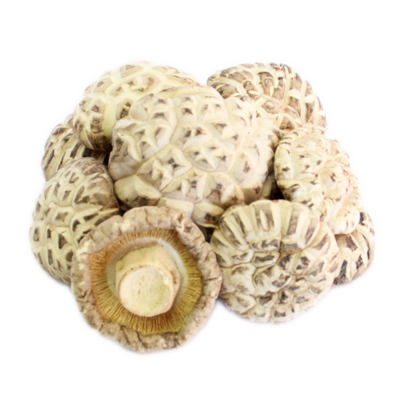 5~6 White Flower Mushroom - 5~6 白花菇