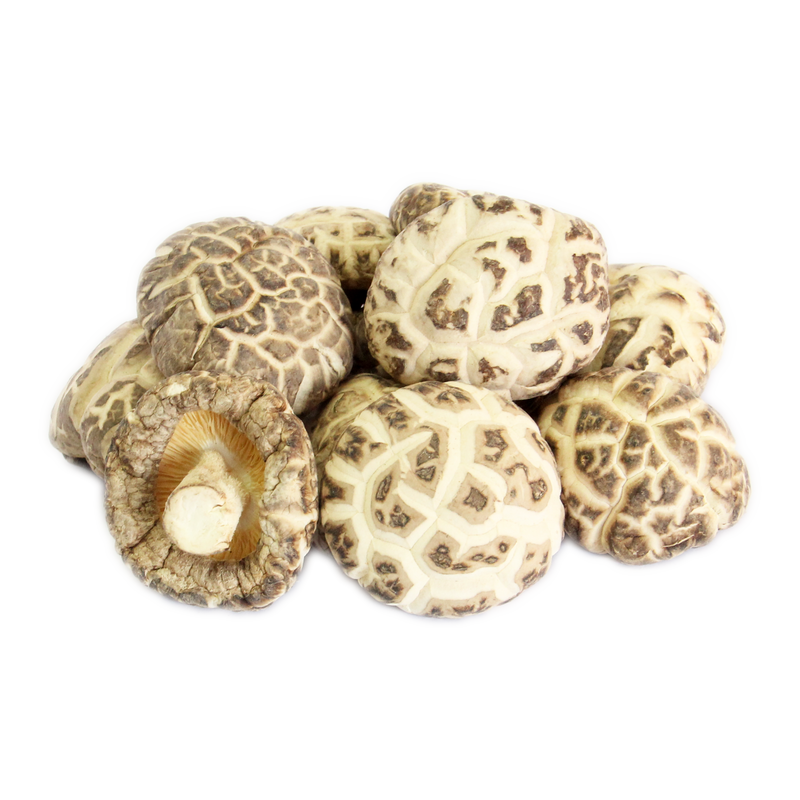 4~5 Thick White Flower Mushroom - 4~5 白花菇厚