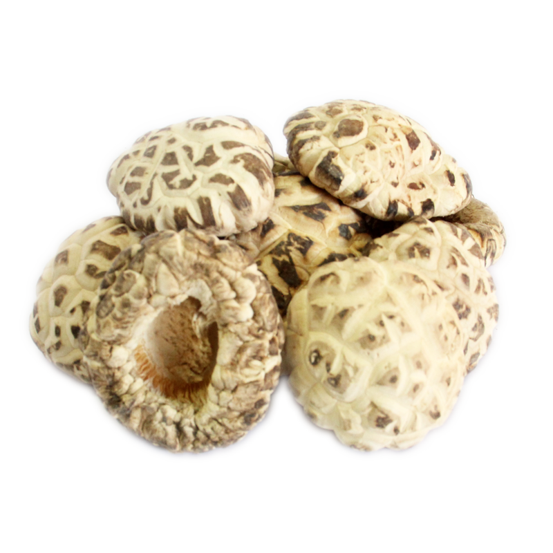 5~6 Thick White Flower Mushroom - 5~6 白花菇厚