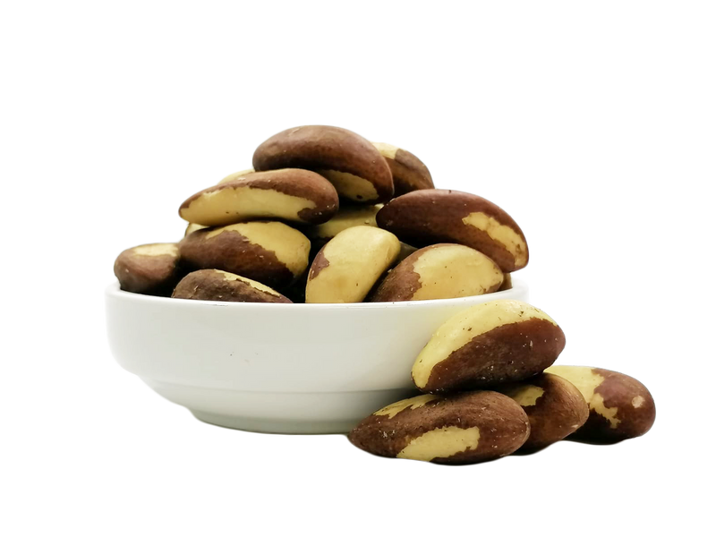 Brazil nut - 巴西坚果
