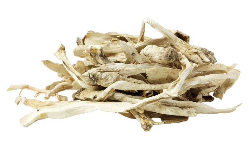 鸡腿菇 - Dried Shaggy Mane