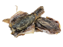 Dried Cuttlefish - 墨鱼干