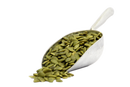 Pumpkin Seed - 南瓜子