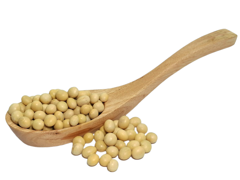 Soya Bean (Raw) - 黄豆 (生)